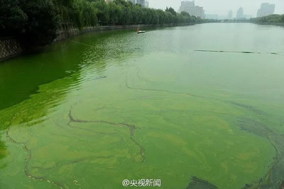 珍愛生命之水 聚焦水污染與治理，守護(hù)藍(lán)色家園