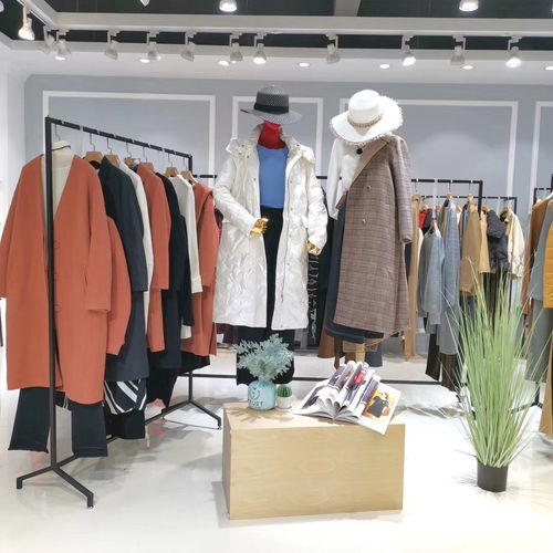 南北女裝批發(fā)市場指南 天津胡同與杭州品牌折扣店貨源解析